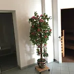 Rausch Appartement