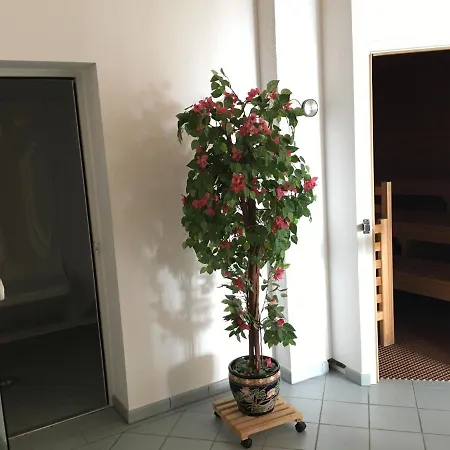 Rausch Lägenhet